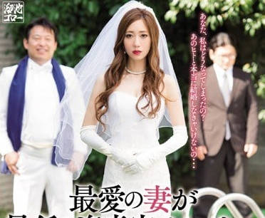 meyd-434 最愛的妻子被土豪買去重婚受孕-東凜