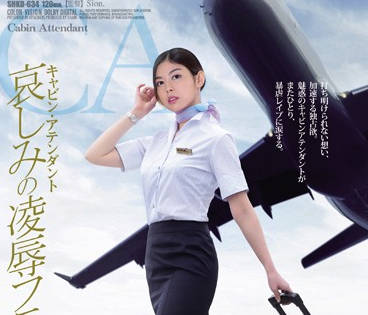 shkd-634 淪為內射玩物的黑絲OL空姐-卯水咲流