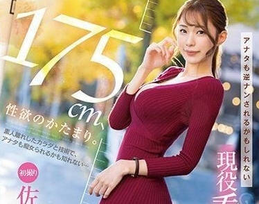 PRED-495 全身都是性慾-佐野由真