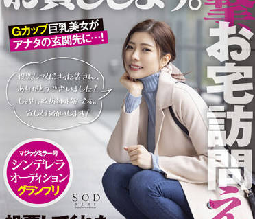 STARS-599 無限制拍攝-神木麗