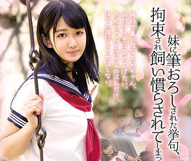 DDK-174 我已許諾並習慣了 – 神宮寺奈緒