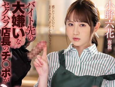 MIDV-175 討厭的性騷擾經理-野六花