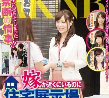 fset-656 當我的妻子在附近時