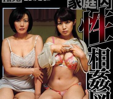 dtrs-007 家庭性別相關性圖表