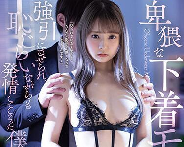 fsdss-299 內衣的模特-河南実里