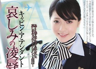 rbd-392 空服員 – 廚師葵