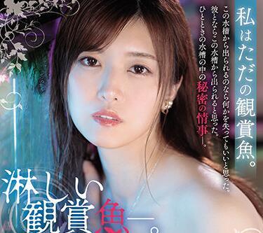 jul-706 孤獨的魚類觀察 – 七瀨伊織