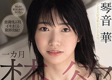 mide-956 一月禁慾-琴音華