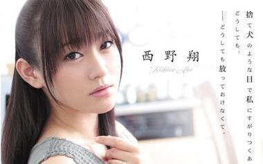 rbd-306 被隔壁的男人強姦-西野翔