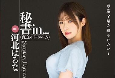 vdd-164 秘書 – 川北春菜